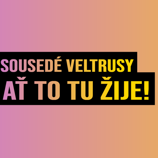 Proč kandidujeme?